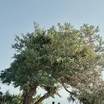 Vione Paros Ξενοδοχείο 5*