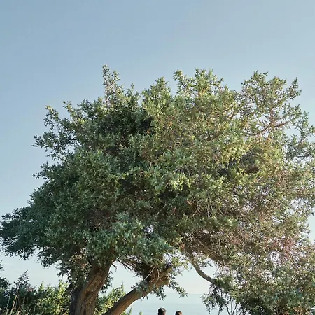 Vione Paros Ξενοδοχείο 5*