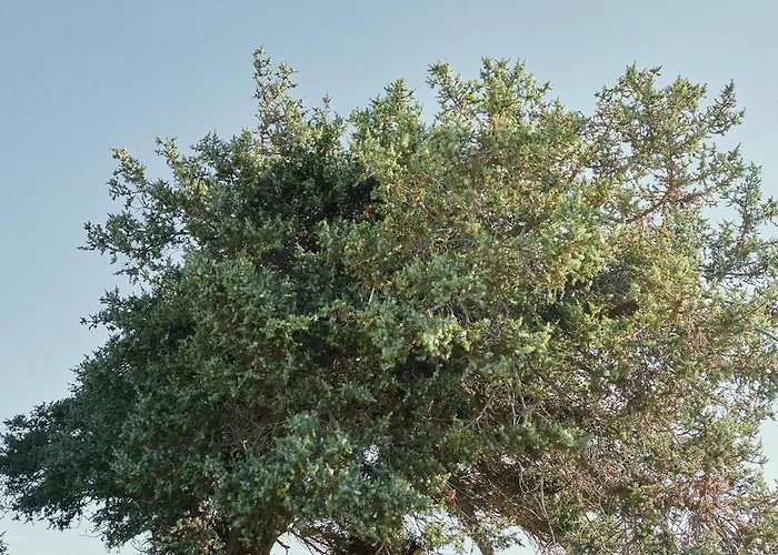 Vione Paros Ξενοδοχείο 5*